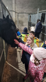 Aapjes op de boerderij_159