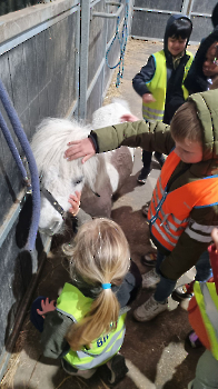 Aapjes op de boerderij_160