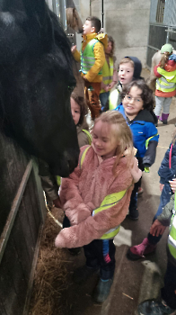 Aapjes op de boerderij_163