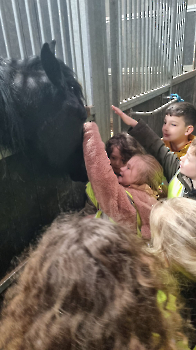 Aapjes op de boerderij_164