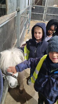 Aapjes op de boerderij_165