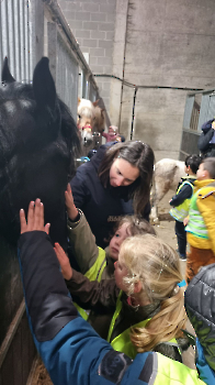 Aapjes op de boerderij_169