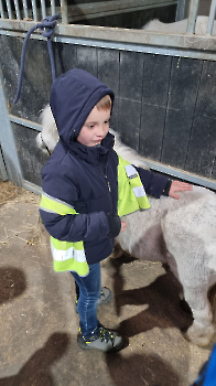 Aapjes op de boerderij_170