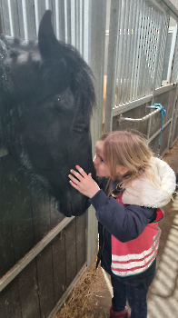 Aapjes op de boerderij_173