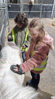 Aapjes op de boerderij_175