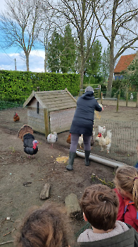 Aapjes op de boerderij_17