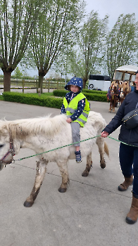 Aapjes op de boerderij_184