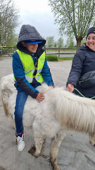 Aapjes op de boerderij_192