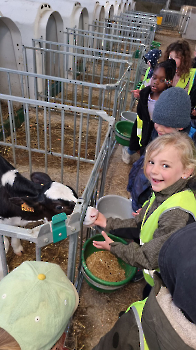 Aapjes op de boerderij_200