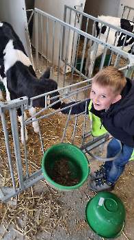 Aapjes op de boerderij_202