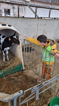 Aapjes op de boerderij_204