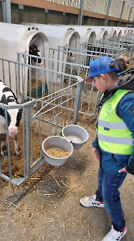 Aapjes op de boerderij_205