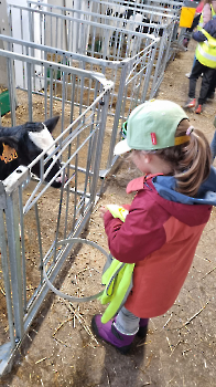 Aapjes op de boerderij_206