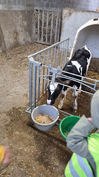 Aapjes op de boerderij_207