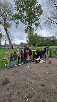 Aapjes op de boerderij_20