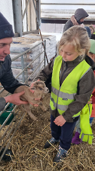 Aapjes op de boerderij_210