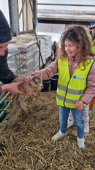 Aapjes op de boerderij_212