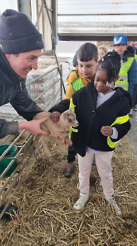 Aapjes op de boerderij_213