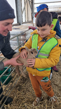 Aapjes op de boerderij_214