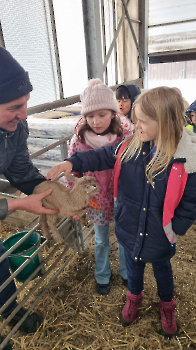 Aapjes op de boerderij_216