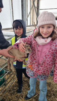 Aapjes op de boerderij_218