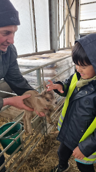 Aapjes op de boerderij_219