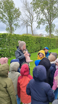 Aapjes op de boerderij_21