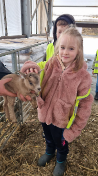 Aapjes op de boerderij_222