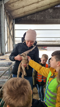 Aapjes op de boerderij_226