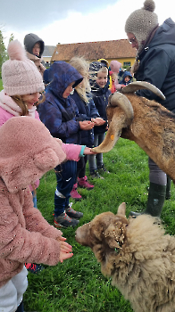 Aapjes op de boerderij_23