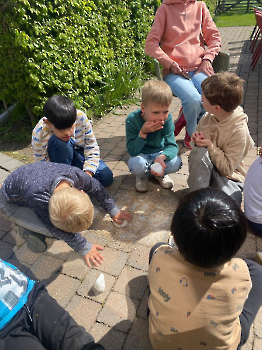 Aapjes op de boerderij_270