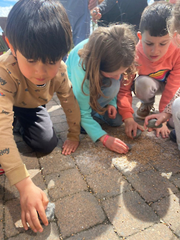 Aapjes op de boerderij_275