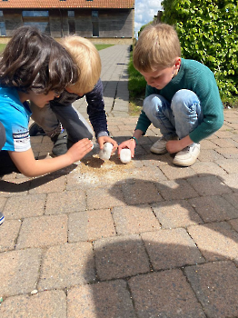 Aapjes op de boerderij_276