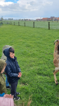 Aapjes op de boerderij_27