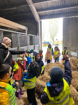 Aapjes op de boerderij_282