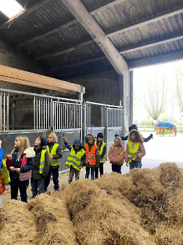 Aapjes op de boerderij_283