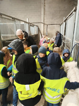 Aapjes op de boerderij_289