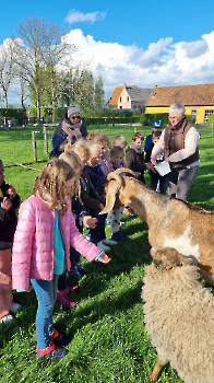 Aapjes op de boerderij_29