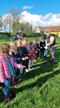 Aapjes op de boerderij_30