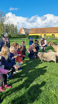 Aapjes op de boerderij_31