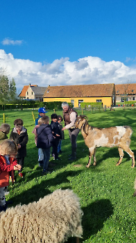 Aapjes op de boerderij_35