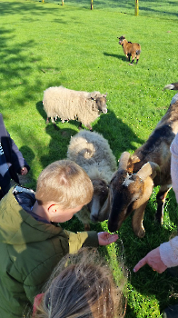 Aapjes op de boerderij_38