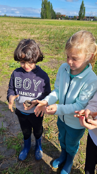 Aapjes op de boerderij_51