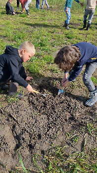 Aapjes op de boerderij_62