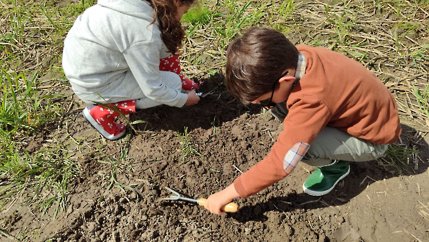 hupjes op de boerderij_151