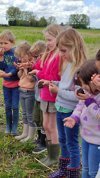 Hupjes op de boerderij