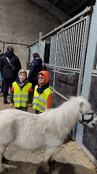 hupjes op de boerderij_207