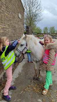 hupjes op de boerderij_208