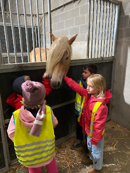 hupjes op de boerderij_231