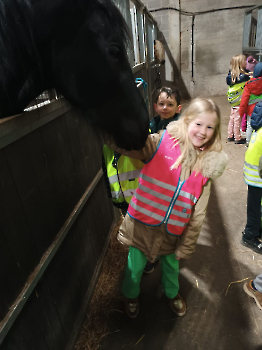 hupjes op de boerderij_236